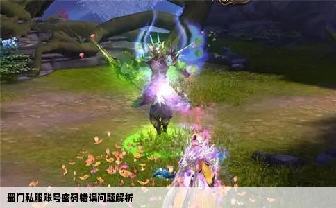 蜀门私服账号密码错误问题解析